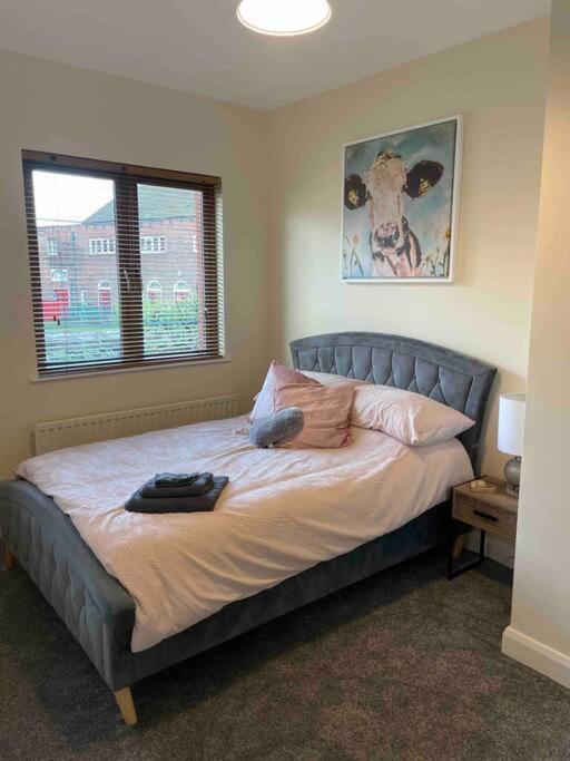 Close To Belfast City Centre.Modern Opened Planned 외부 사진