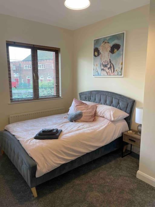 Close To Belfast City Centre.Modern Opened Planned 외부 사진